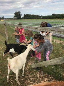 kids looking at goats